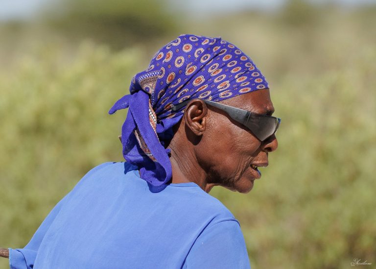 Namibie et Botswana 2026